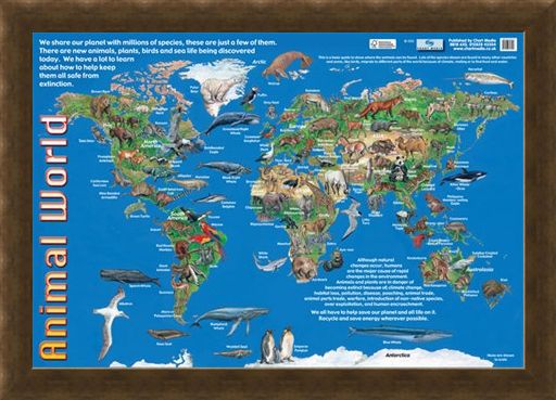 Framed Framed Animals of the World - Animal World Map